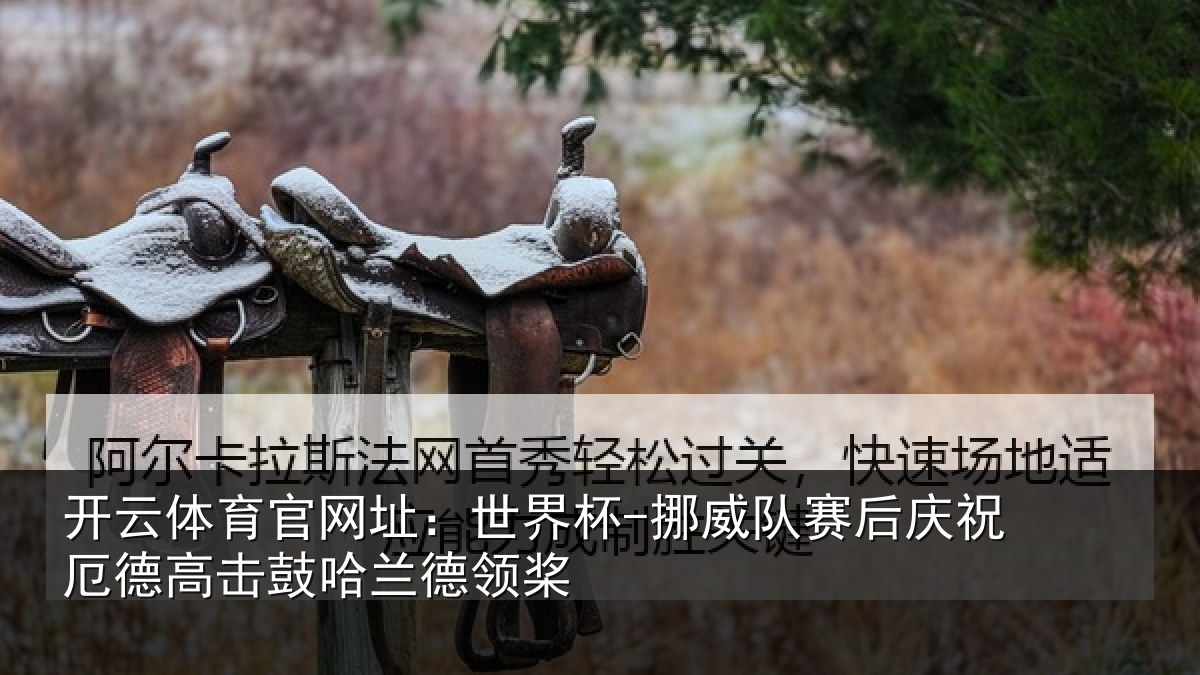 开云体育官网址:世界杯-挪威队赛后庆祝厄德高击鼓哈兰德领桨