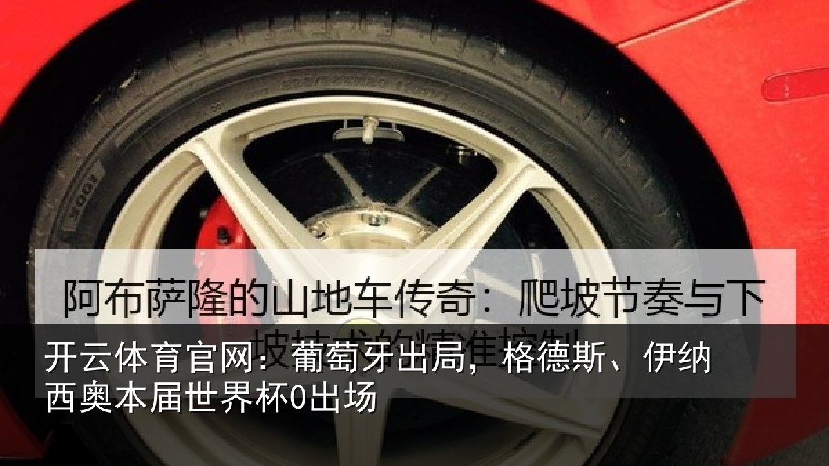 开云体育官网：葡萄相关情况西奥本届世界杯0出场