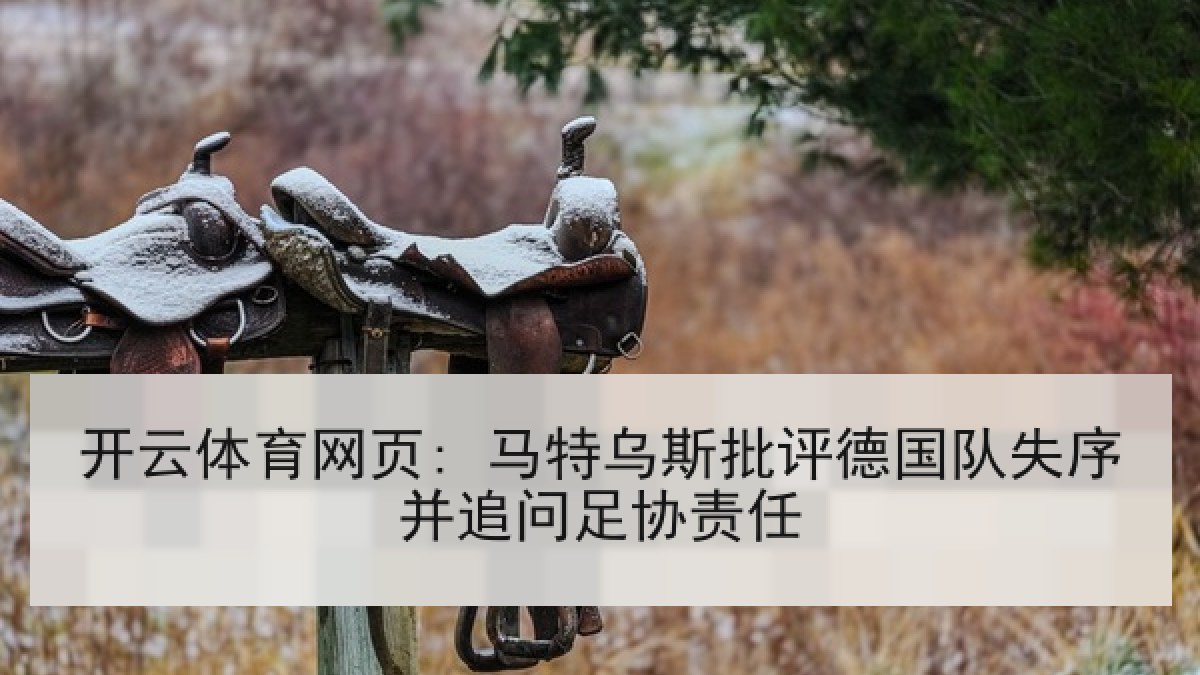 开云体育网页: 马特乌斯批评德国队失序并追问足协责任